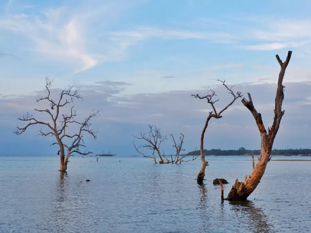 Ilustrasi kecelakaan mobil update xxx - Foto oleh Dok. Istimewa update via Dok. Istimewa update