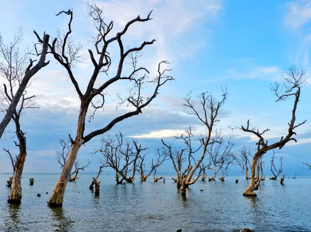 Ilustrasi kecelakaan mobil - Foto oleh Dok. Istimewa via Dok. Istimewa