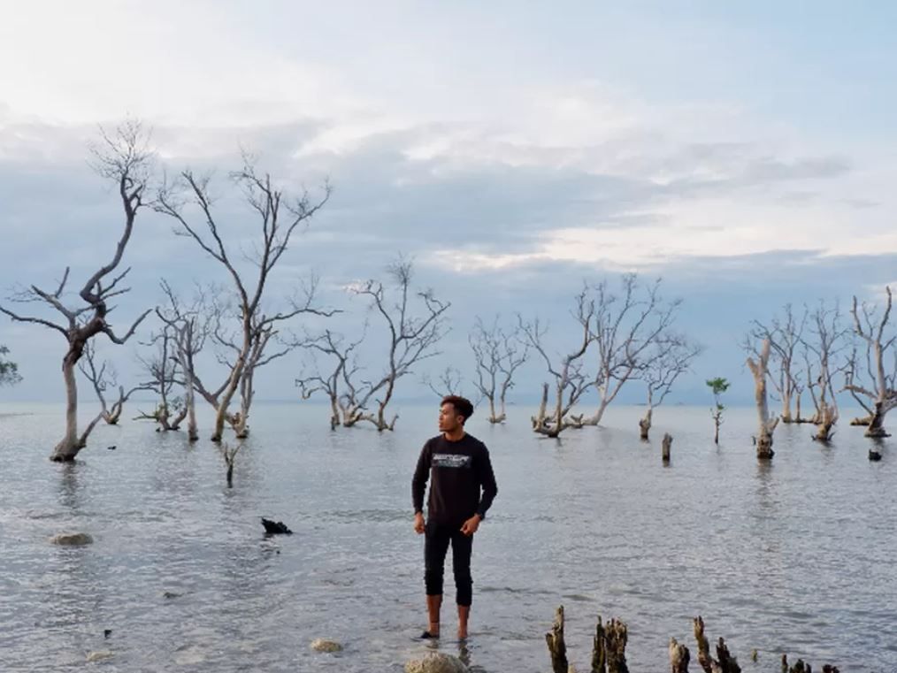 Ilustrasi kecelakaan mobil - Foto oleh Dok. Istimewa via Dok. Istimewa