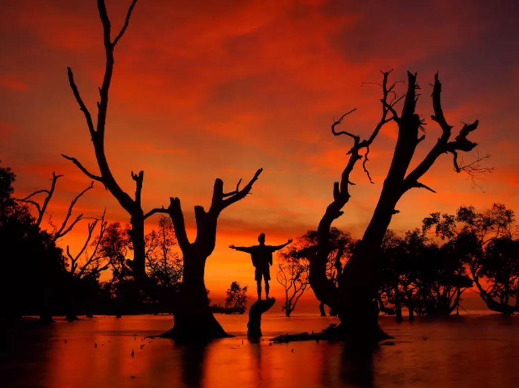 Ilustrasi kecelakaan mobil - Foto oleh Dok. Istimewa via Dok. Istimewa